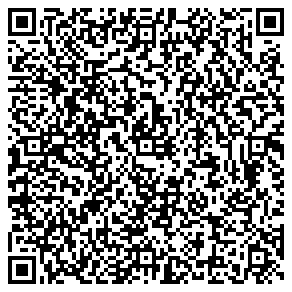 Agent vcard